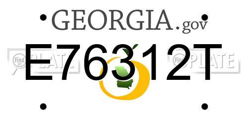 E76312T Georgia License Plate