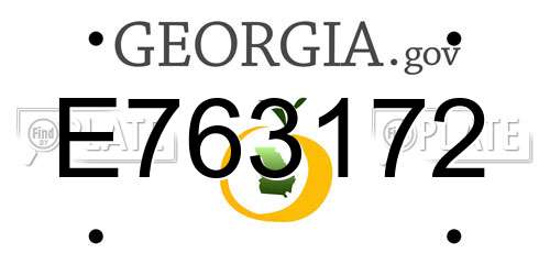 E763172 Georgia License Plate