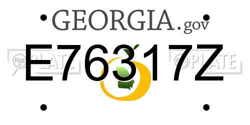 E76317Z Georgia License Plate