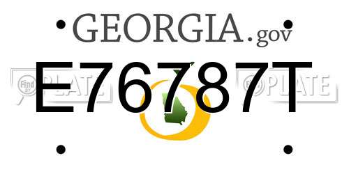 E76787T Georgia License Plate