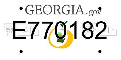 E770182 Georgia License Plate