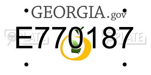 E770187 Georgia License Plate