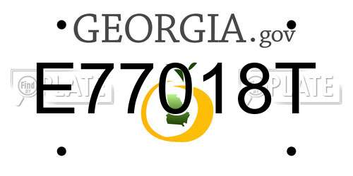 E77018T Georgia License Plate