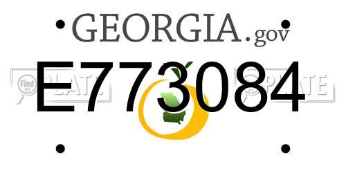 E773084 Georgia License Plate