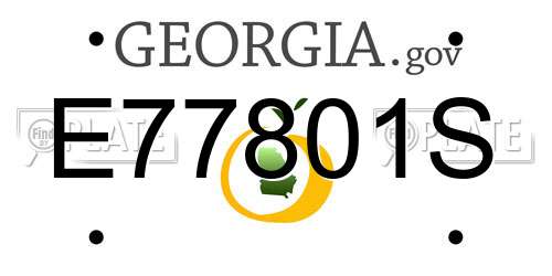 E77801S Georgia License Plate