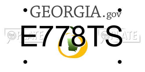 E778TS Georgia License Plate