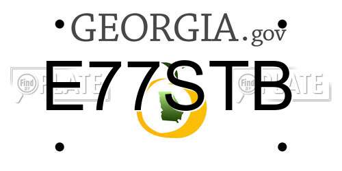 E77STB Georgia License Plate