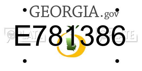 E781386 Georgia License Plate