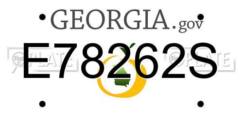 E78262S Georgia License Plate