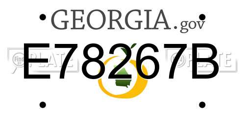E78267B Georgia License Plate