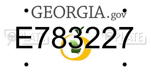 E783227 Georgia License Plate