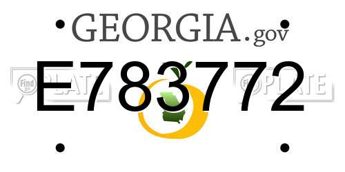E783772 Georgia License Plate