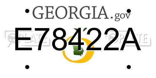 E78422A Georgia License Plate