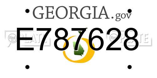 E787628 Georgia License Plate