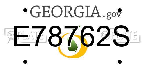 E78762S Georgia License Plate