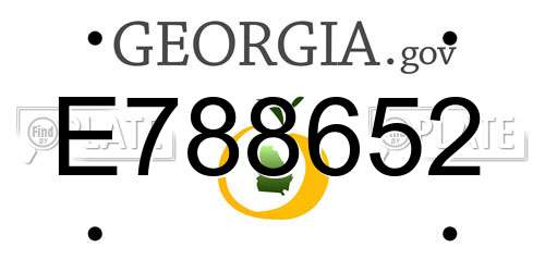 E788652 Georgia License Plate