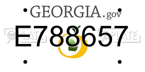E788657 Georgia License Plate