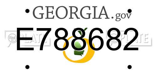 E788682 Georgia License Plate