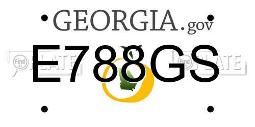 E788GS Georgia License Plate