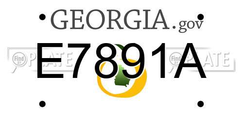 E7891A Georgia License Plate
