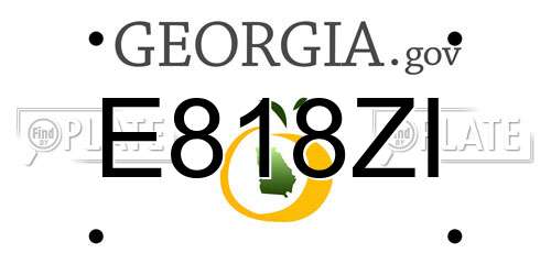 E818ZI Georgia License Plate