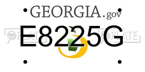 E8225G Georgia License Plate