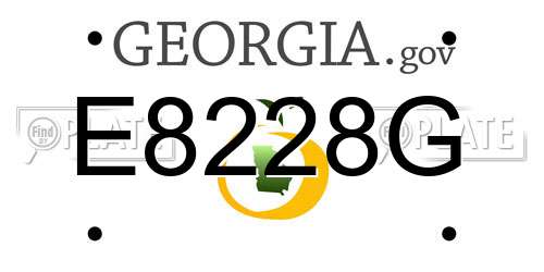 E8228G Georgia License Plate