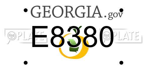 E8380 Georgia License Plate
