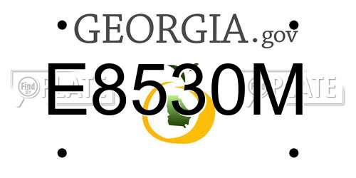 E8530M Georgia License Plate