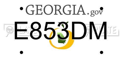 E853DM Georgia License Plate