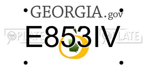E853IV Georgia License Plate