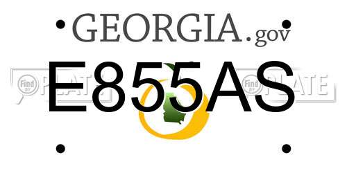 E855AS Georgia License Plate