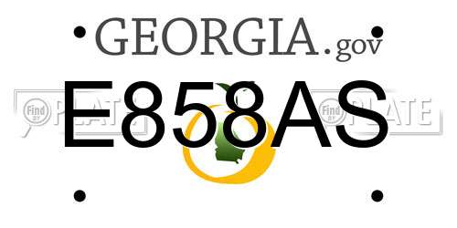 E858AS Georgia License Plate