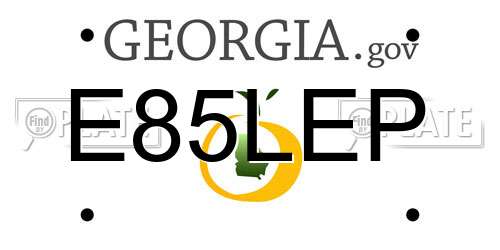 E85LEP Georgia License Plate