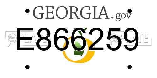 E866259 Georgia License Plate