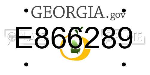 E866289 Georgia License Plate