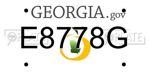 E8778G Georgia License Plate