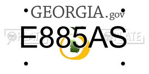 E885AS Georgia License Plate