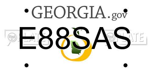E88SAS Georgia License Plate