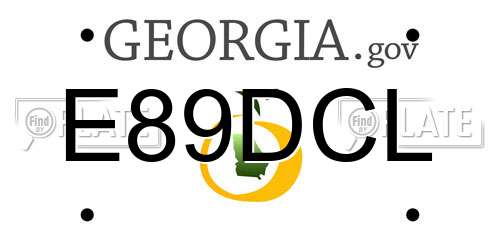 E89DCL Georgia License Plate