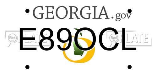 E89OCL Georgia License Plate