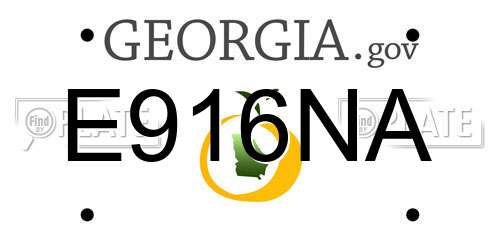E916NA Georgia License Plate