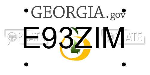 E93ZIM Georgia License Plate