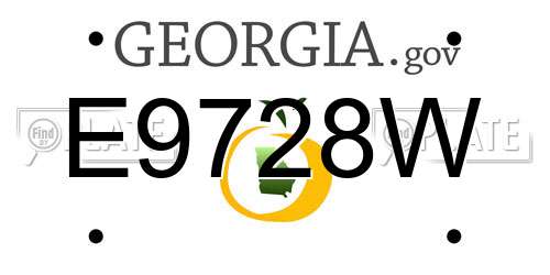 E9728W Georgia License Plate