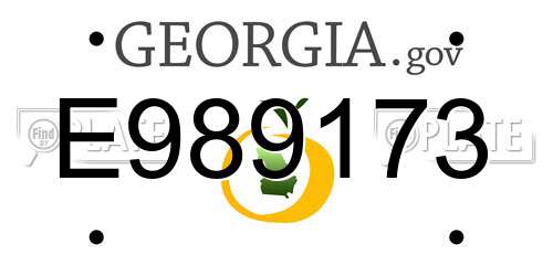 E989173 Georgia License Plate