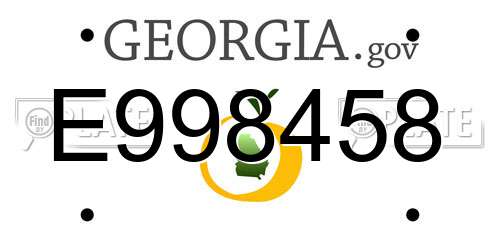 E998458 Georgia License Plate