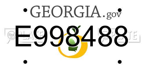 E998488 Georgia License Plate