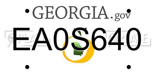 EA0S640 Georgia License Plate