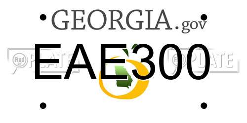 EAE300 Georgia License Plate