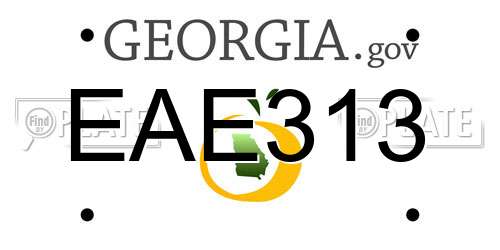 EAE313 Georgia License Plate